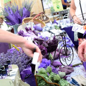 lavender_festival-table
