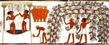 Greek wall painting showing grape-vines trained over a trellis, then crushed in a vat. The Bible credits Noah with inventing wine.