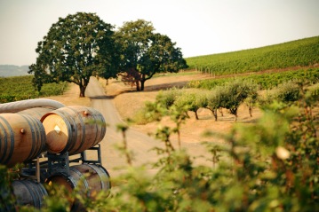 If California was its own country, it would rank fourth in the world - maybe third - in wine production.