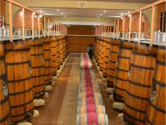 Chateau Puech-Haut - barrel-storage